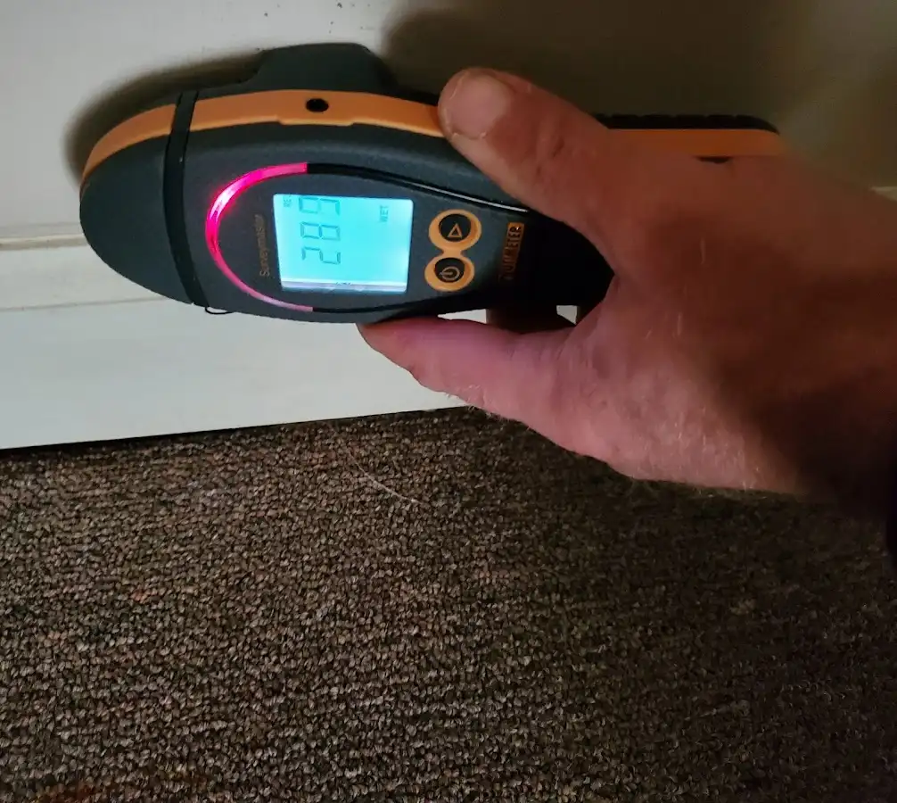 Moisture detection at baseboard during Sewage Cleanup & Sanitation in Chocolay